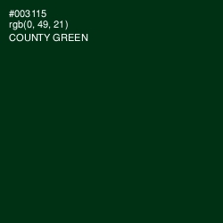 #003115 - County Green Color Image
